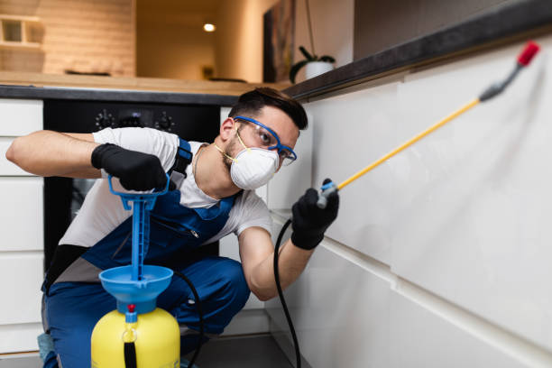 Best Termite Control Services  in Macon, IL