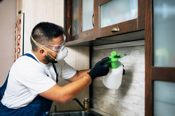 Best Rat Extermination Near Me  in Macon, IL