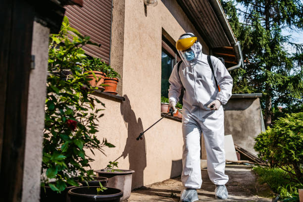 Best Pest Removal Services  in Macon, IL