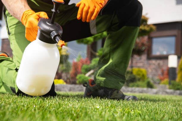 Best Local Pest Control Services  in Macon, IL