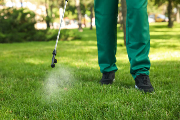 Best Affordable Pest Control Services  in Macon, IL