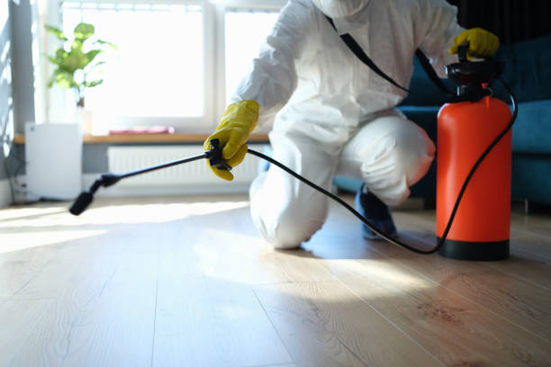 Professional Pest Control in Macon, IL