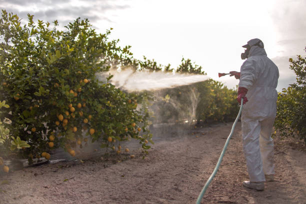 Best Emergency Pest Control  in Macon, IL