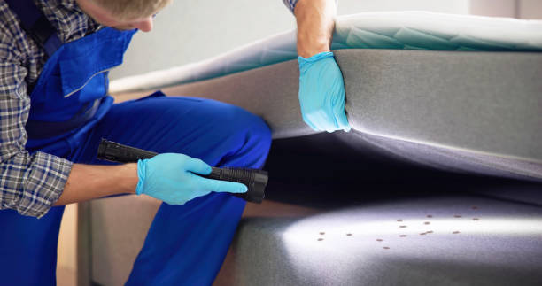 Best Pest Control Near Me in Macon, IL
