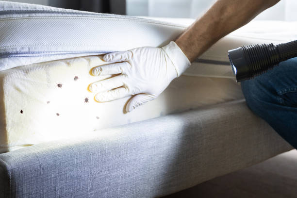 Best Pest Control for Homes  in Macon, IL