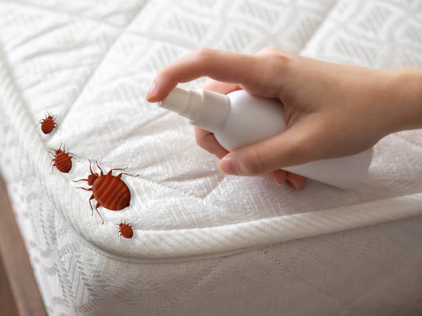 Best Best Pest Control Companies  in Macon, IL