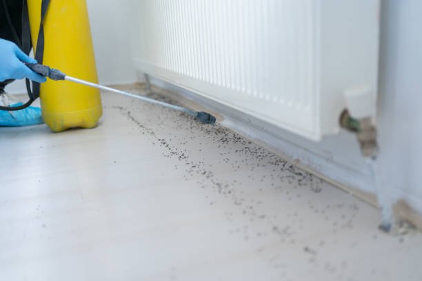 Best Affordable Pest Control Services  in Macon, IL