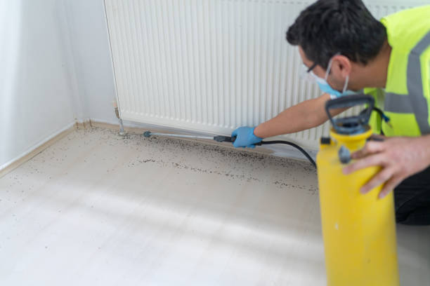 Best Best Pest Control Near Me  in Macon, IL
