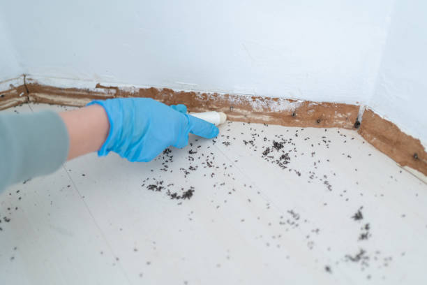 Best Pest Control Near Me  in Macon, IL