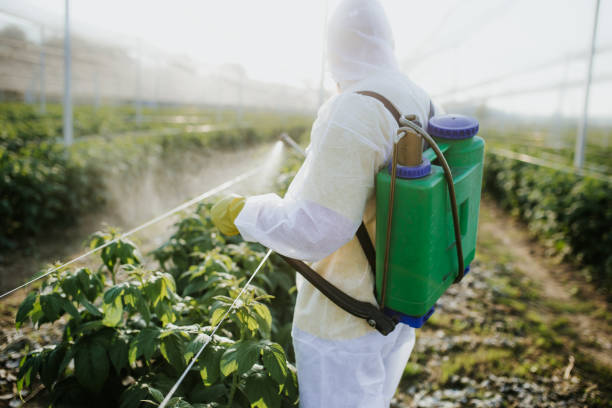 Best Wasp Removal Services  in Macon, IL